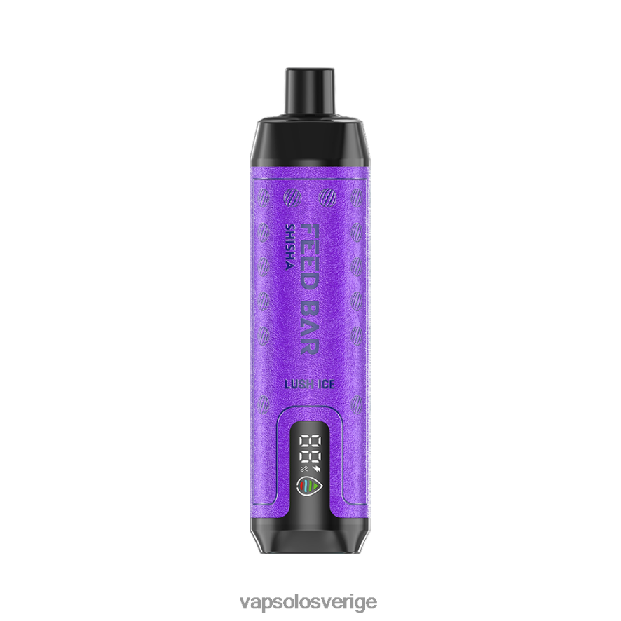 VapSolo Nikotin - VapSolo SHISHA engångsvape R2L4XB8 frodig is