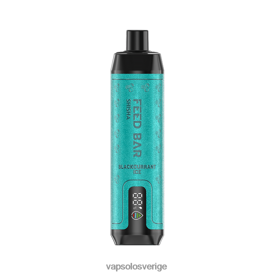 VapSolo Vape - VapSolo SHISHA engångsvape R2L4XB2 svartvinbärsis