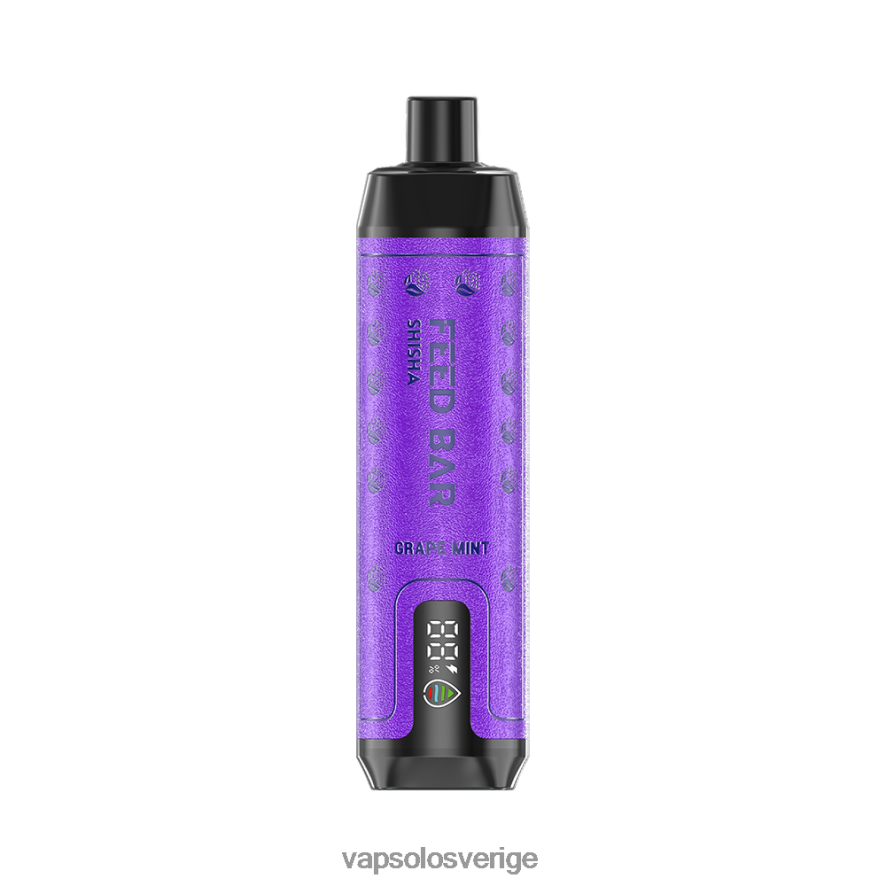 VapSolo Vape - VapSolo SHISHA engångsvape R2L4XB6 druvmynta